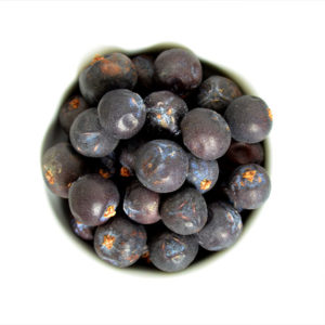 Wacholderbeeren Handverlesen